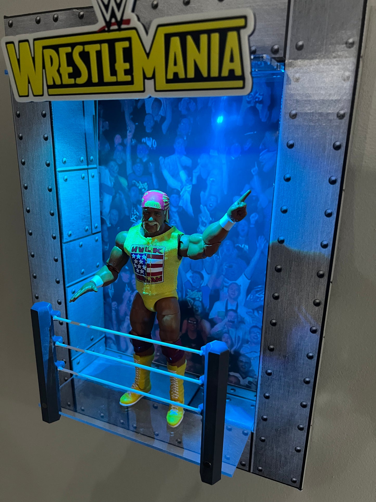 Deluxe Wrestling Ring Display Kit