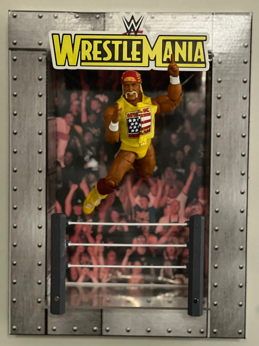 Deluxe Wrestling Ring Display Kit
