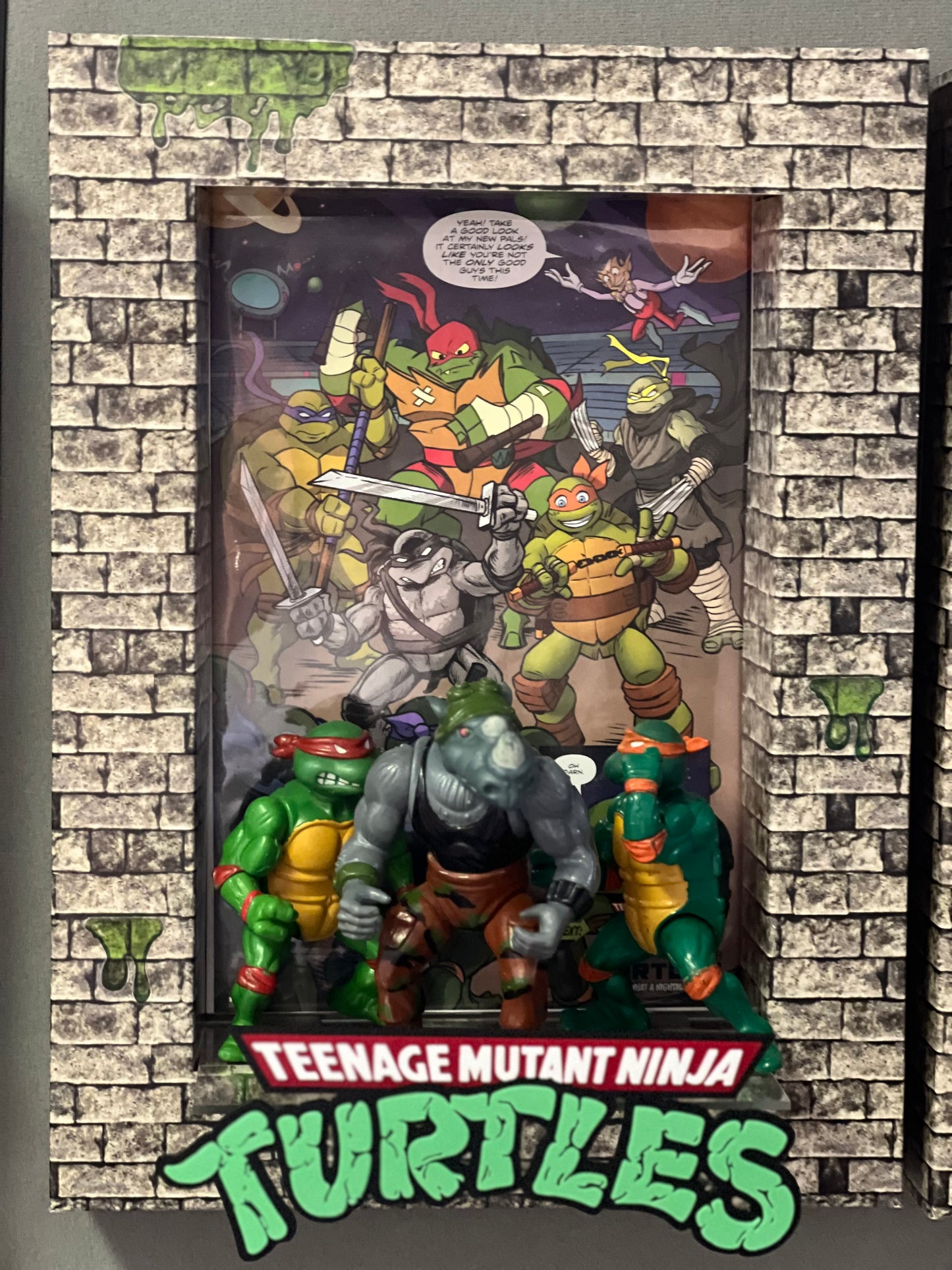 Teenage Mutant Ninja Turtles Logo Plaque