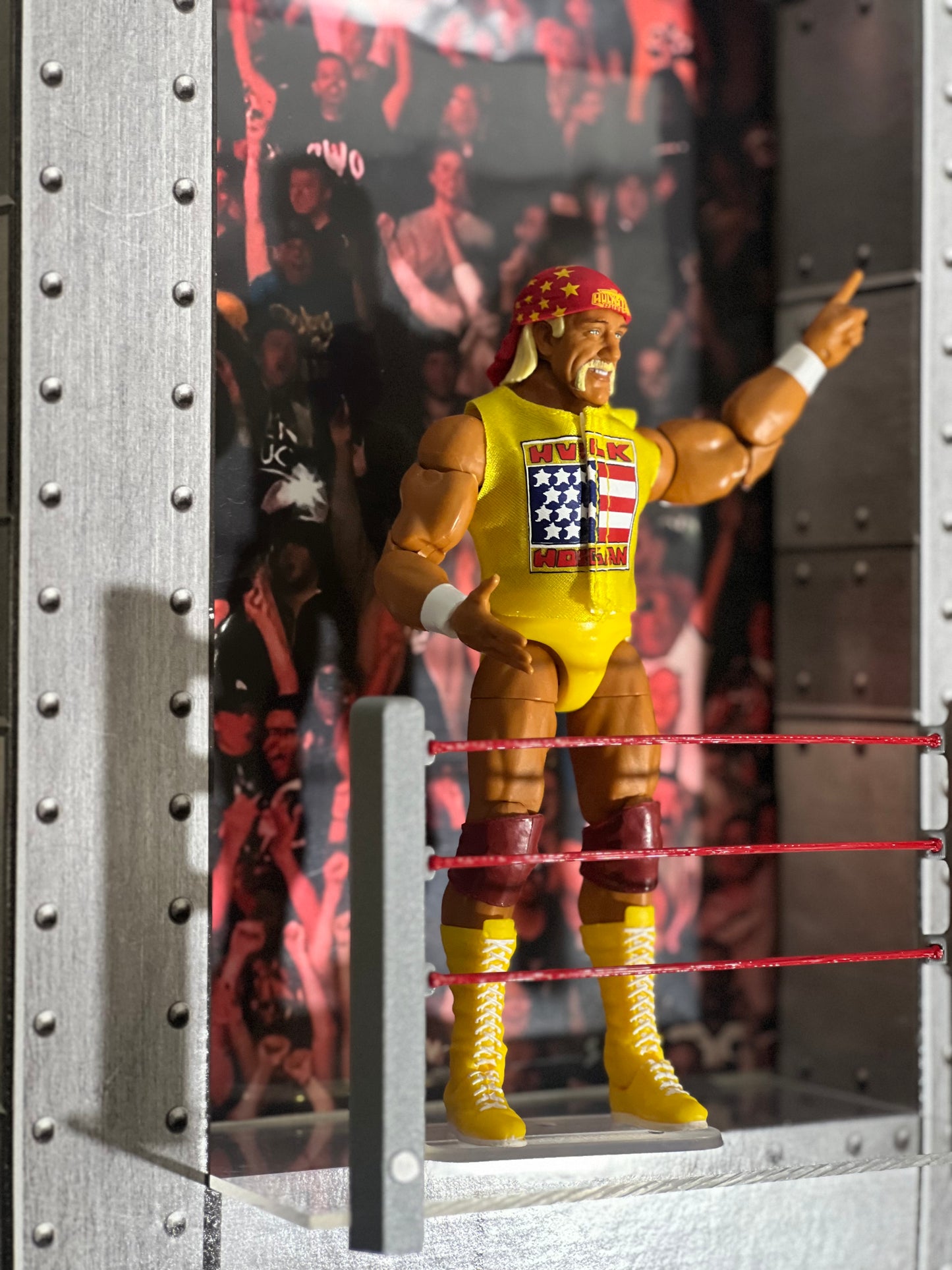 Wrestling Ring Display Kit