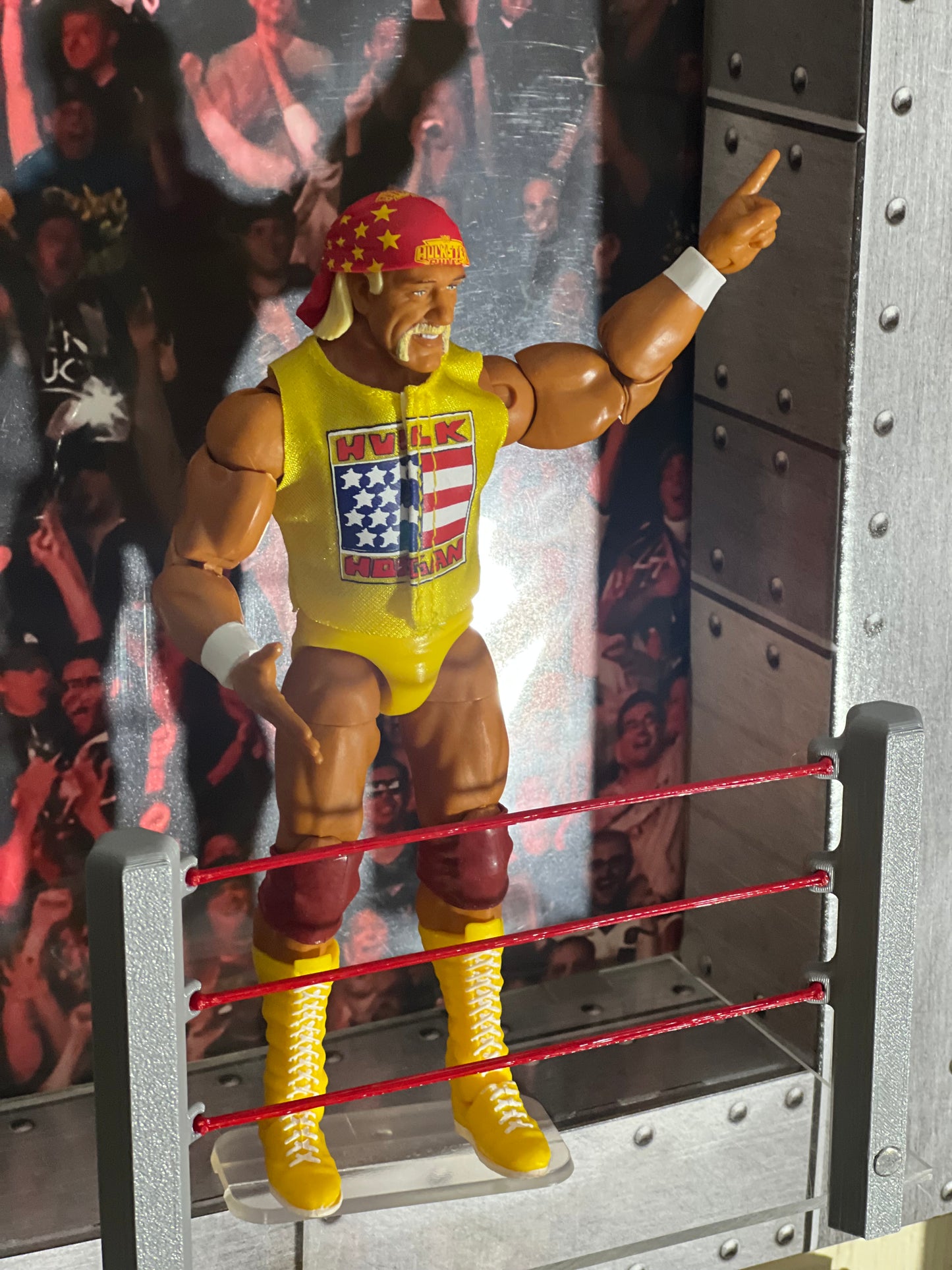 Wrestling Ring Display Kit