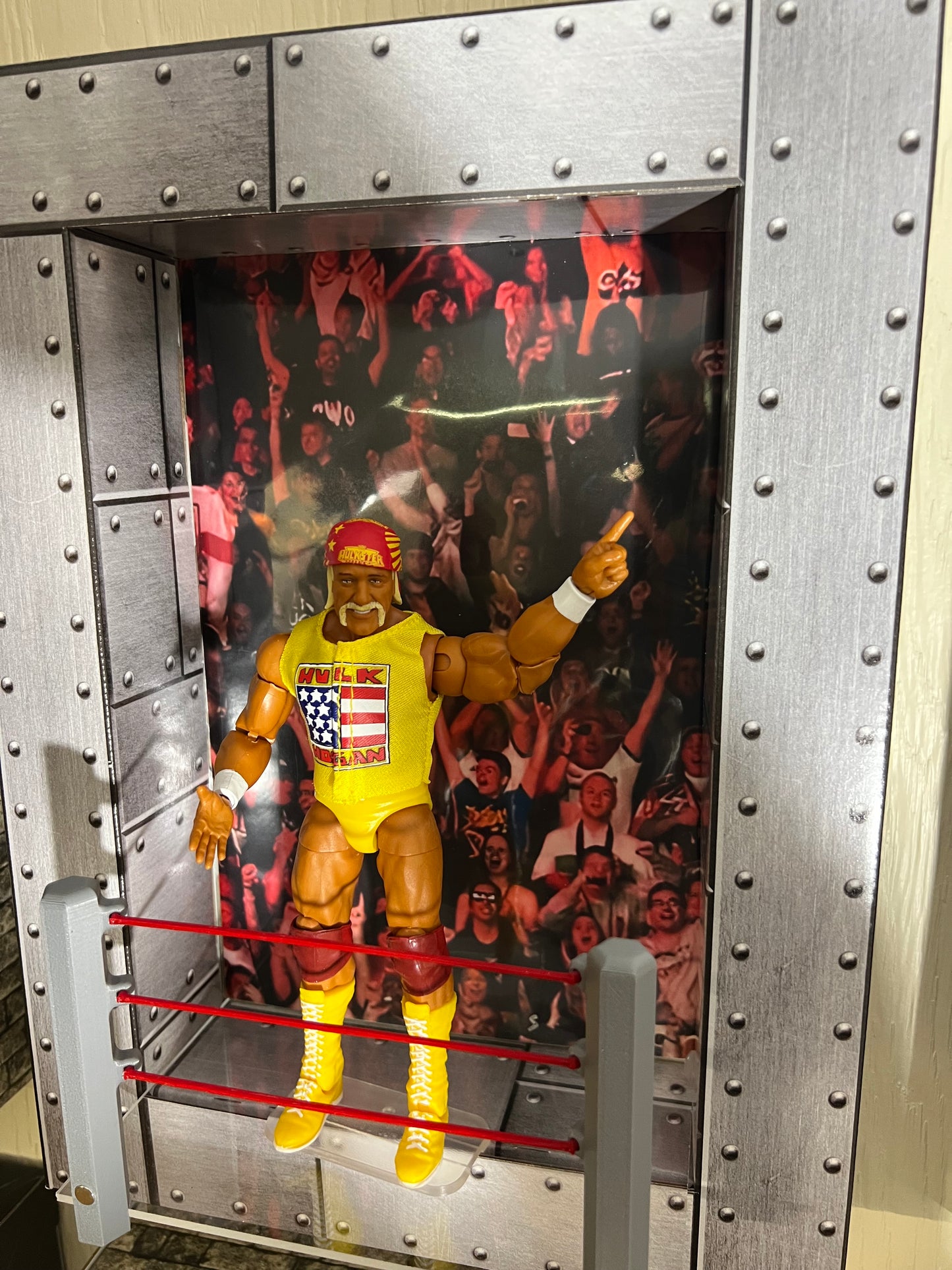 Wrestling Ring Display Kit