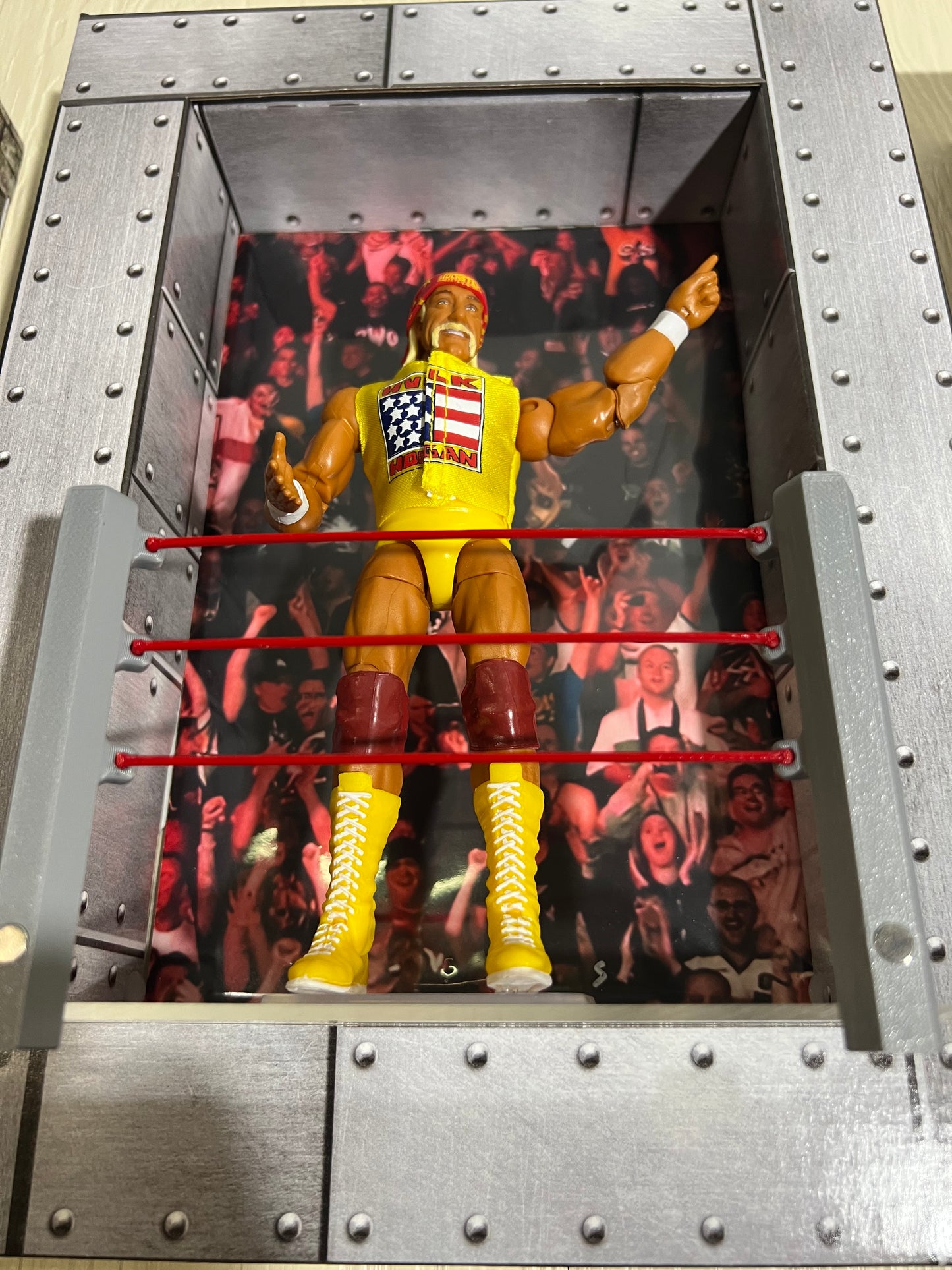 Wrestling Ring Display Kit